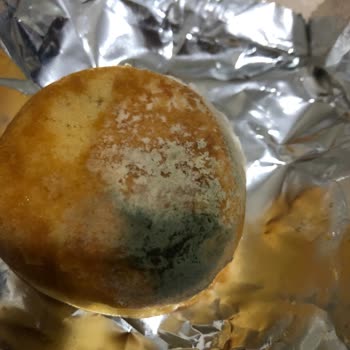 A101’den Alınan Kek Küflendi, Paketi Temiz Ve Tarihi Geçmemiş