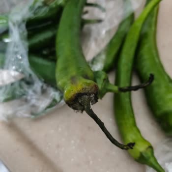 Trendyol A101 Siparişindeki Bozuk Sebzeler İçin Ücret İadesi