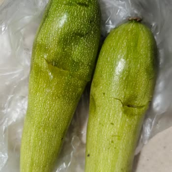 Trendyol A101 Siparişindeki Bozuk Sebzeler İçin Ücret İadesi