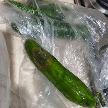 Trendyol A101 Siparişindeki Bozuk Sebzeler İçin Ücret İadesi