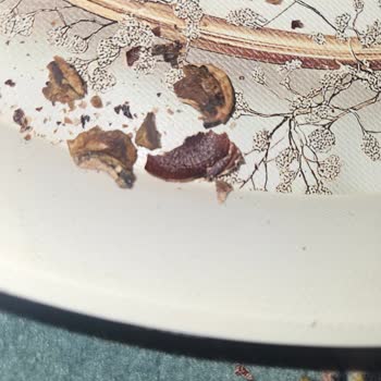 Makbul Kabuklu Kaju Tazelik Sorunu Tekrarlıyor, Güvenim Sarsıldı