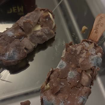 Migros'tan Küflü Dondurma Çocuklarımı Tehlikeye Atıyor