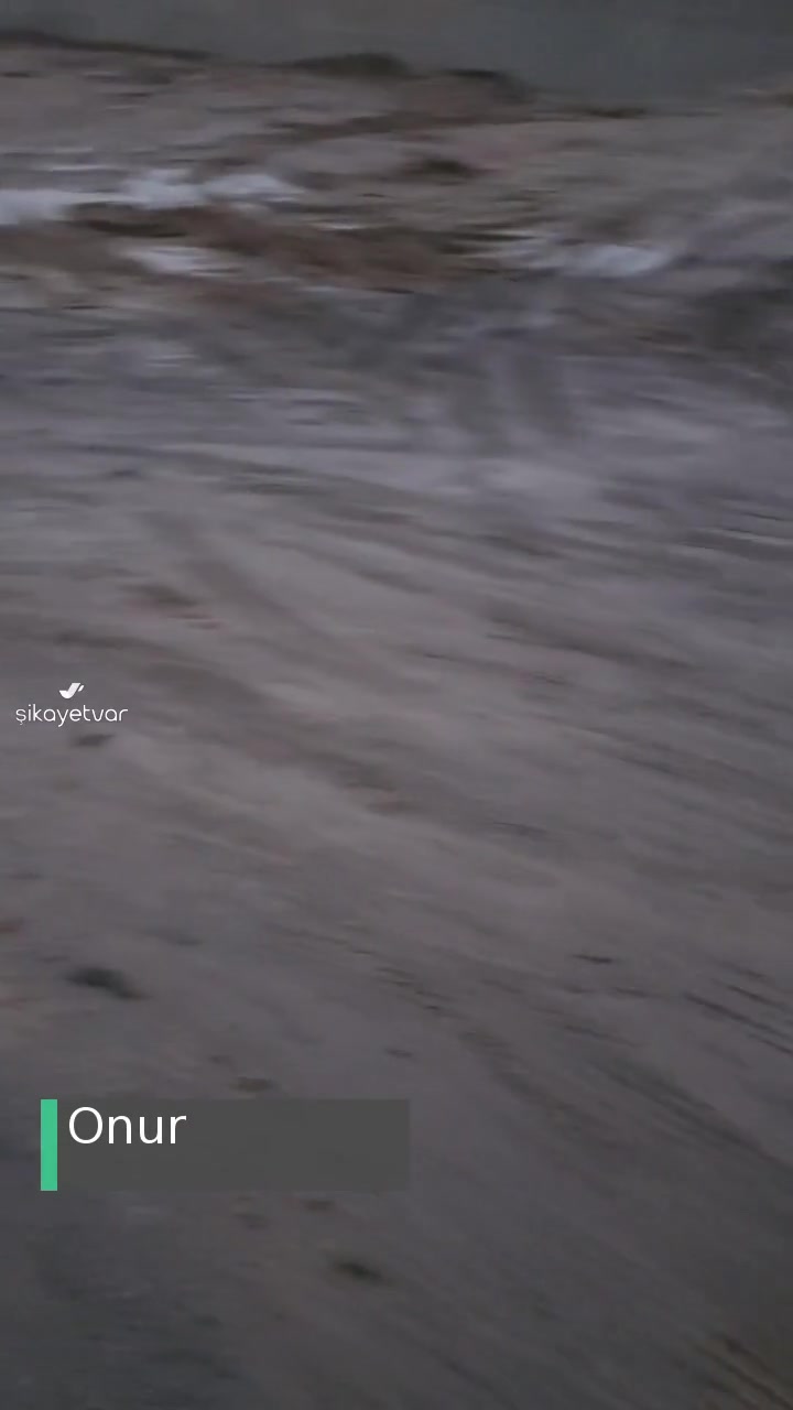 Sakarya Kemalpaşa 32. Sokak Yol Çalışması Mağduriyeti videonun kapak resmi