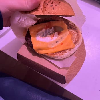 Alerjimi Belirtmeme Rağmen Peynirli Burger Teslim Edildi