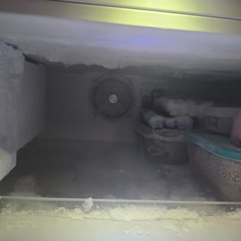 Beko Buzdolabında Çözülmeyen Buzlanma, Ses Ve Su Sızıntısı Ve Servis Oyalama