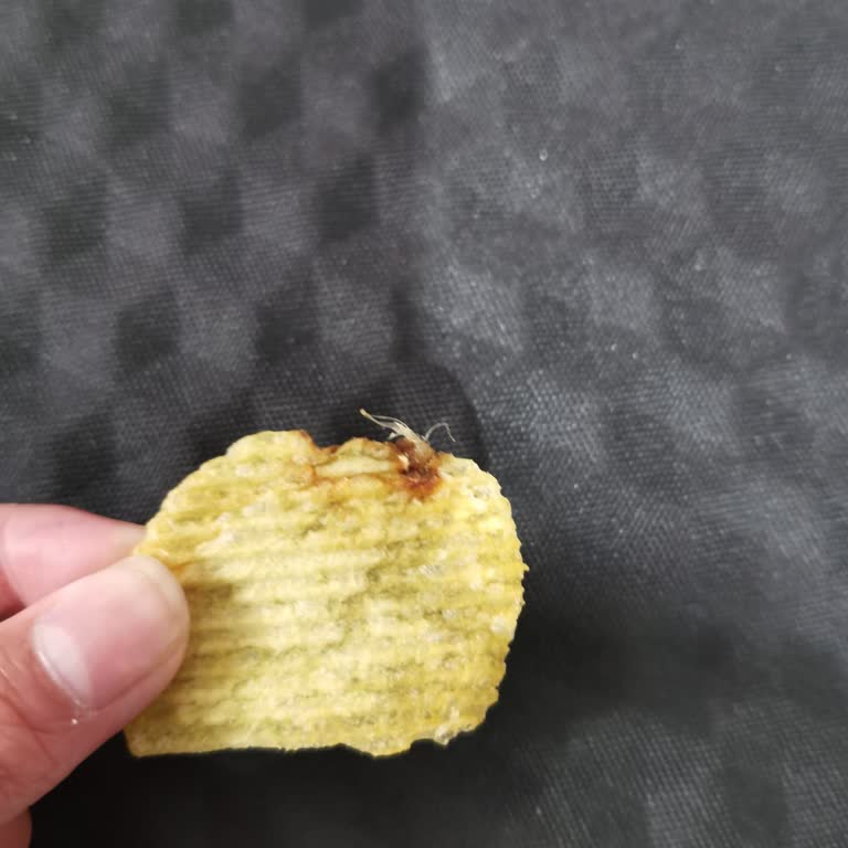 Patata defectuosa Ruffles afecta la salud y genera desconfianza, pido revisión