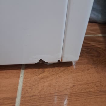 Paslanan Profilo Çamaşır Makinesi İçin Ücretsiz Tamir Talebi