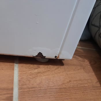 Paslanan Profilo Çamaşır Makinesi İçin Ücretsiz Tamir Talebi