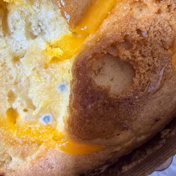 Küflü Kek Ve Sağlık Riski İçin İade Ve Özür Talebi