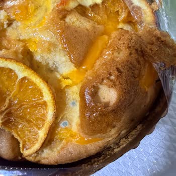 Küflü Kek Ve Sağlık Riski İçin İade Ve Özür Talebi