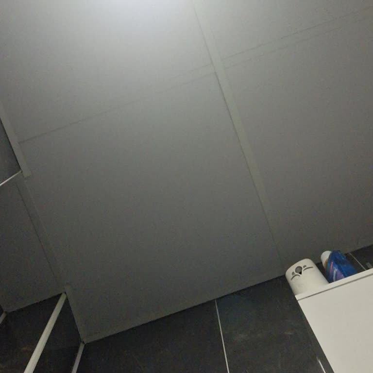 Samsung Güncellemesi Sonrası WhatsApp Görüntülü Konuşma Efekt Özelliği Kaldı