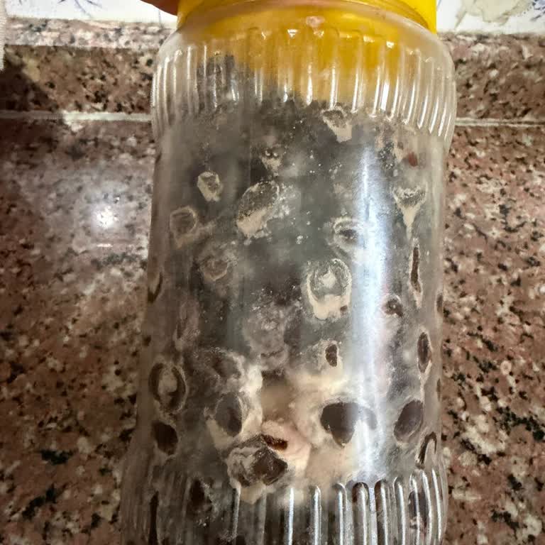 Küflü Zeytin Ve Cevapsız İade Talebi