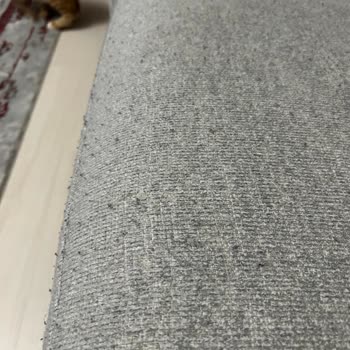 Doğtaş Costa Koltukta Pati Dostu İddiası Gerçekleşmedi Ve Kumaş Deforme Oldu