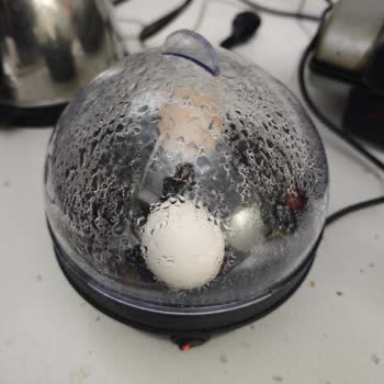 Sinbo Yumurta Pişiricisi Çalışmıyor Ve Servis Sorunu Çözülmedi; Ücret İadesi Talebi