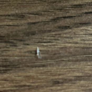 Smoothie’de Cam Parçası, Market İade İstedi Ve Cevapsız