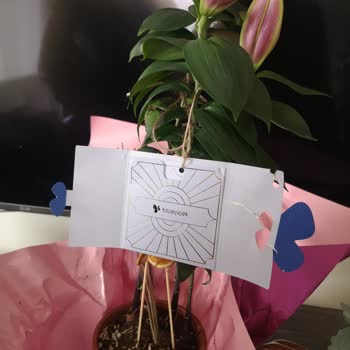 Gönderilen Görsel Ve Ürün Arasındaki Uçurum Sade, Süssüz Ve Pahalı