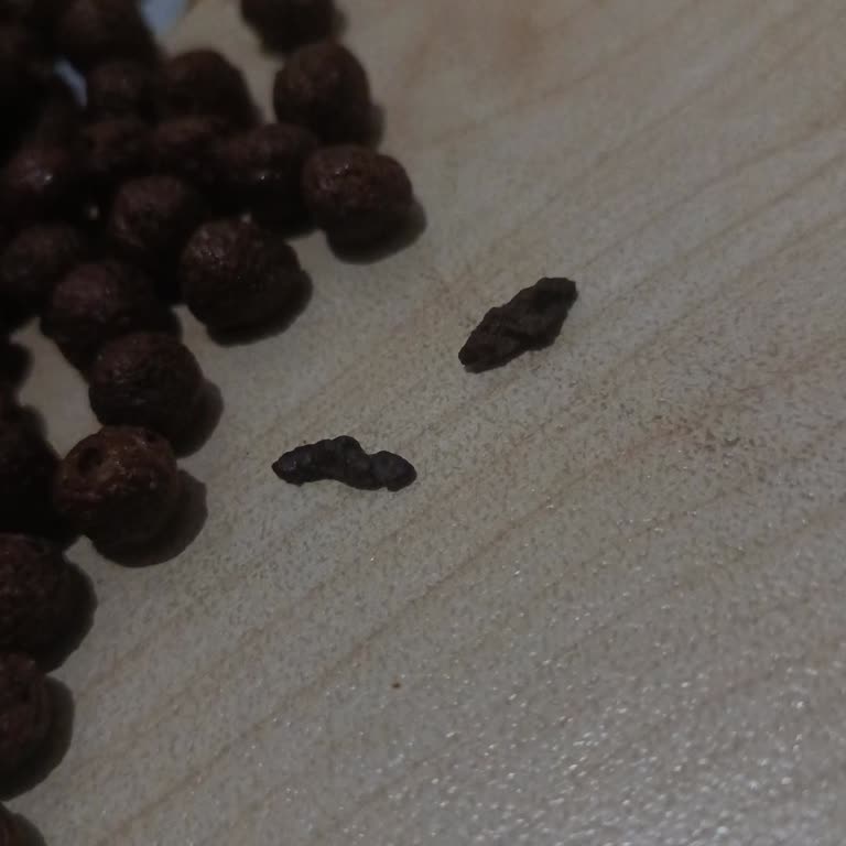 BİM Cupido Mısır Gevreğinde Kuş Dışkısı Bulundu: Hijyen Sorunu