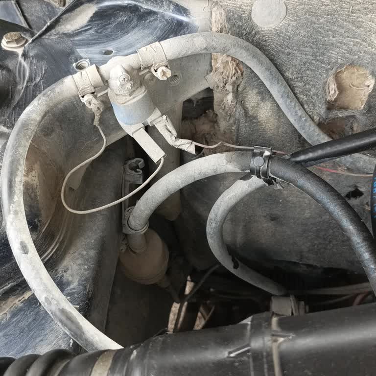 Protokol Yolu Çukurunun Onarımı Ve Araç Hasarının Telafisi İçin Acil Talep