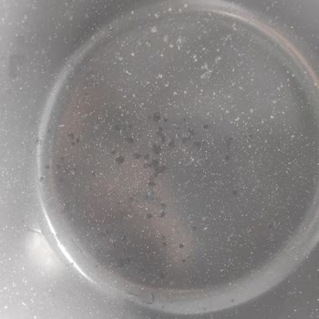 Üç Ayda Deforme Olan Tekli Tencere Ayıplı