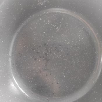 Üç Ayda Deforme Olan Tekli Tencere Ayıplı