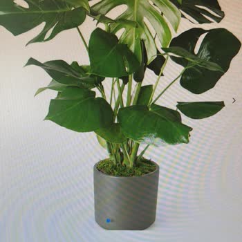 Sipariş Edilen Ürünle Gönderilen Ürün Arasındaki Fark Ve İade Talebi