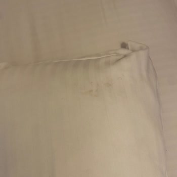 Tatilbudur'da Hijyen Sorunu Ve İade Reddi Şikayeti