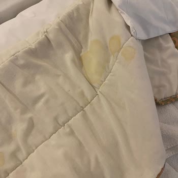 Tatilbudur'da Hijyen Sorunu Ve İade Reddi Şikayeti