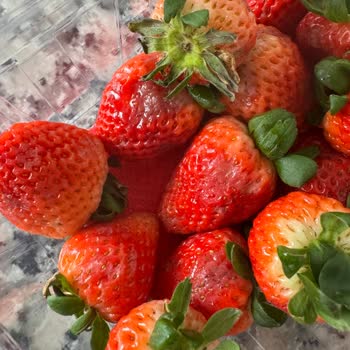 Acil Çürük Çilek Teslimatı İçin Yeni Ürün Talebi