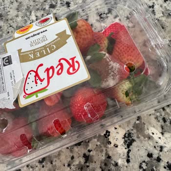 Acil Çürük Çilek Teslimatı İçin Yeni Ürün Talebi