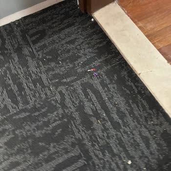 Elitium Otelinde Temizlik Sorunları Ve Kapora İadesi Talebi