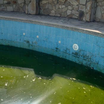 Elitium Otelinde Temizlik Sorunları Ve Kapora İadesi Talebi