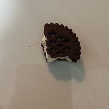 Eti Gıda Güvenimi Ciddi Şekilde Sarstı