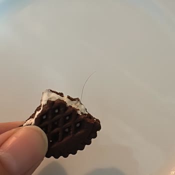 Eti Gıda Güvenimi Ciddi Şekilde Sarstı