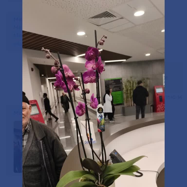 Çiçek Sepeti’nin Hastane Siparişinde Yanıltıcı Teslimat Bilgisi Ve Yetersiz Müşteri Desteği