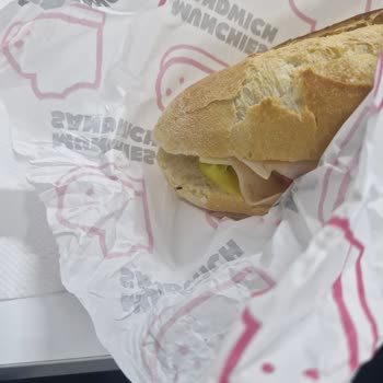 Munchies Sandviç Siparişinde Canlı Sinek Bulunması Ve Yetersiz İade Talebi