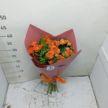 İlan Fotoğrafı İle Gelen Buket Uyuşmazlığı Ve Geciken Teslimat