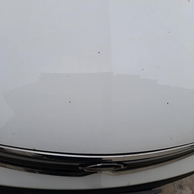 Yeni Opel Crossland'de Kaput Ve Kapılarda Paslanma