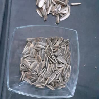 Şok Market’te Amigo Çekirdekte Sürekli Kalitesiz Ürün Ve Geri Dönüş Yok