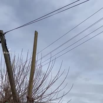 Türk Telekom Direği Yıkıldı Ve İlgilenen Kimse Yok!