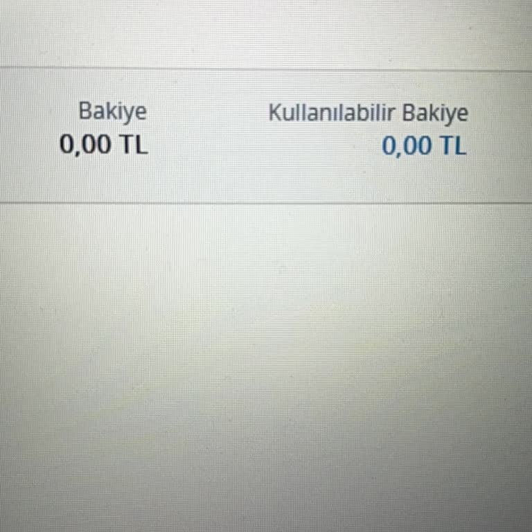 Denizbank Adana Şubesinde Vadesiz Hesabım Borç Uyarısı Nedeniyle Kapatılamıyor