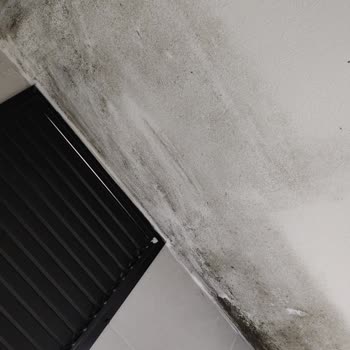 50609716 Numaralı Hasar Dosyamda 65 Bin TL Ödeme Reddi Ve Tutarsız Gerekçe