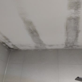 50609716 Numaralı Hasar Dosyamda 65 Bin TL Ödeme Reddi Ve Tutarsız Gerekçe