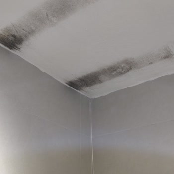 50609716 Numaralı Hasar Dosyamda 65 Bin TL Ödeme Reddi Ve Tutarsız Gerekçe