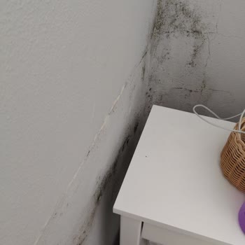 50609716 Numaralı Hasar Dosyamda 65 Bin TL Ödeme Reddi Ve Tutarsız Gerekçe