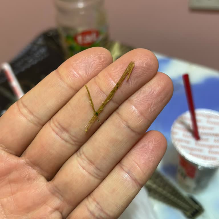 Komagene Dürümde Tahta Parçası Bulunması Ve Trendyol’un Cevapsızlığı