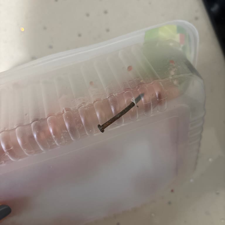 Pakette Paslı Çivi Bulunması Ve Gıda Güvenliği İhlali