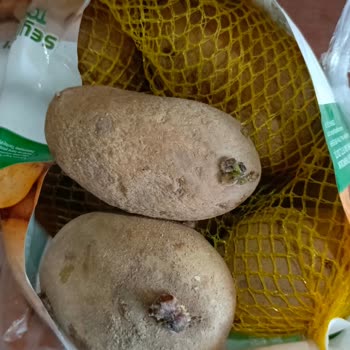 Migros Sanal Market'te Çürük Patates Ve Bozuk Ürünler Nedeniyle Güven Kaybı