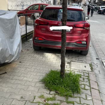 Camı Güneş Almayan Sokakta Büyük Araçların Parkı Engellensin