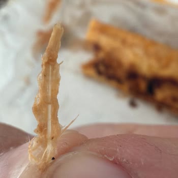 Tavuk Dürümde Tüy Çıktı Ve Ürünler Eksik, İade Talebim Reddedildi