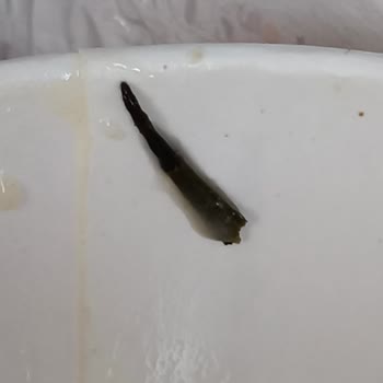 Köfteci Yusuf Şubesinde Çorba İçindeki Yabancı Cisim Bebeğimi Tehlikeye Attı